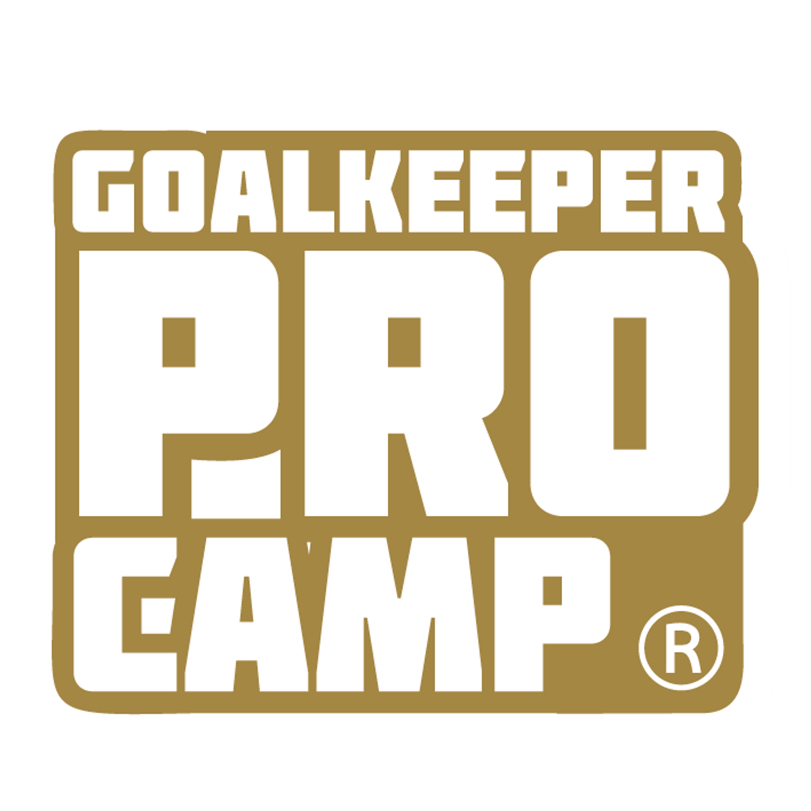 2021_GOALKEEPER_PROCAMP_GOLD.png