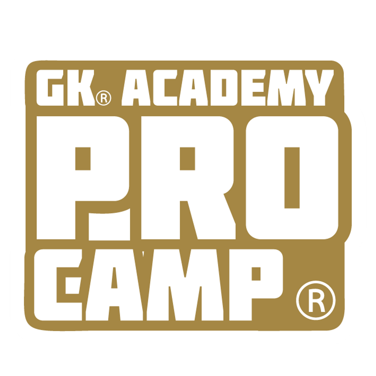 2021-ACADEMYPROCAMP-LOGO_TEXTE_BLANC_CONTOUR_GOLD.png